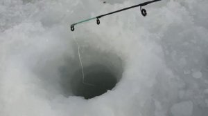 Зимняя рыбалка на Сахалине! Получите дубль 2.