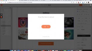 Как сделать ч/б фото цветным при наведении в Zero Block тильда? Простая пошаговая анимация в Tilda.