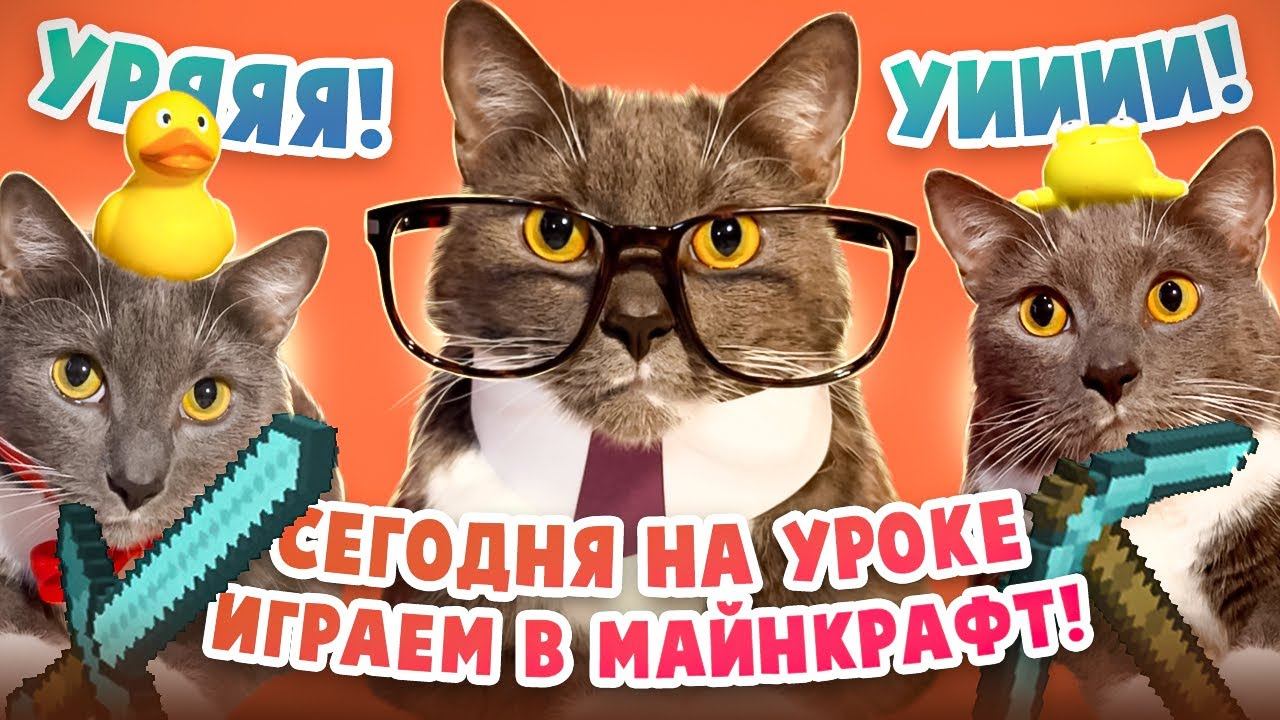 Что если бы котики ходили в школу