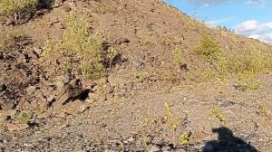 Motoland Dakar 250 ST.Эндуро покатушки!