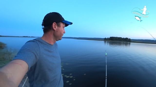 Ловля сома на Дніпрі. Божевільний кльов на курячу печінку, п'явку та виповзок. Червень 2019 смотреть онлайн