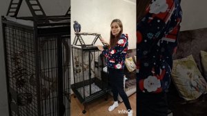 ПОЛЕЗНЫЕ СОВЕТЫ Клетка для Жако. Важные моменты. Как оборудовать. Плюсы и минусы нашей клетки #жако