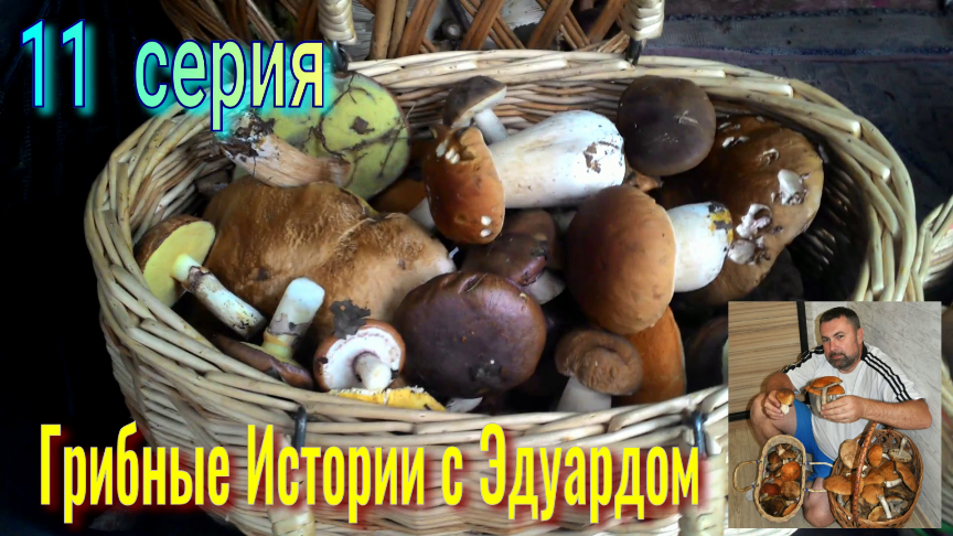 ГРИБНЫЕ Истории с Эдуардом. 11 серия. За Белыми Грибами! смотреть онлайн
