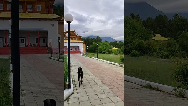 Баргузинский дацан Бурятия
