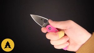 Складной нож Spyderco Dragonfly 2