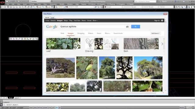 Getting Started with Planting Design using AutoCAD and Land F/X смотреть онлайн