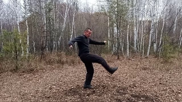 Боевая гимнастика 228