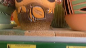 ВЛОГ Что я сделала с поломанным денежным деревом .