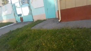 ищим ашки