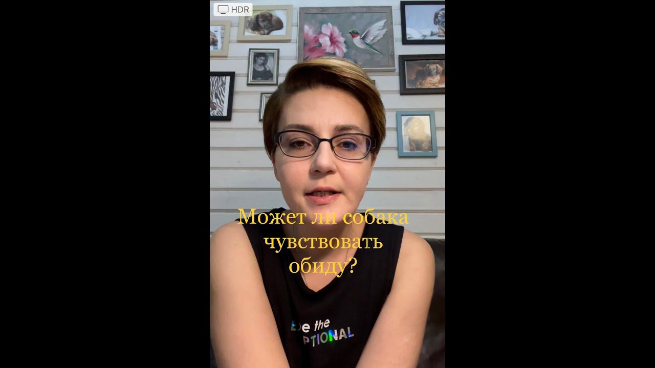 Испытывает ли собака чувство обиды? смотреть онлайн
