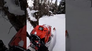 polaris rmk axys 800 2018.