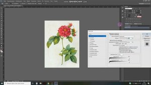 УРОК 55. КАК БЫСТРО УБРАТЬ БЕЛЫЙ ФОН У ИЗОБРАЖЕНИЯ