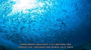 Маринованная скумбрия в банке с луком за 3 часа