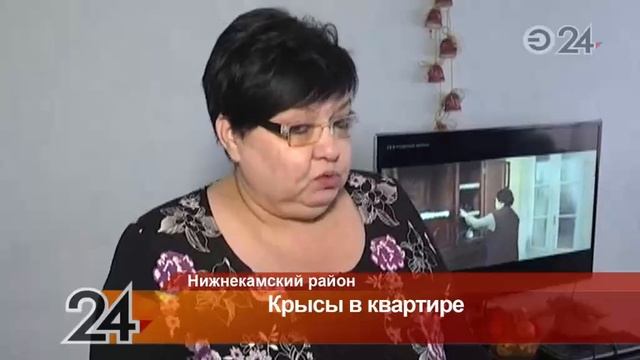 В квартире жительницы Камских Полян завелись крысы смотреть онлайн