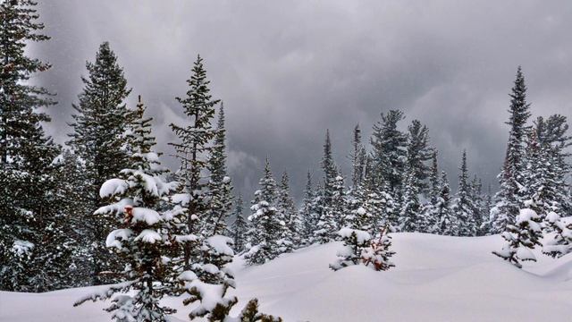 Людмила Зыкина -Что было, то было (муз. Григория Пономаренко - ст. Маргариты Агашиной)
