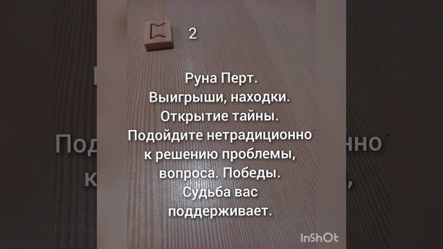 InShot_20230814_070759339.mp4