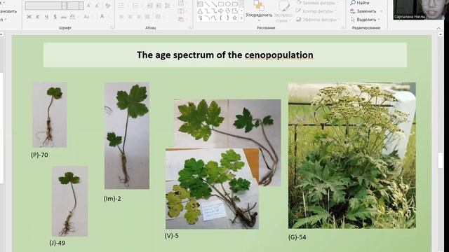 Yakutia International Science Games 2022