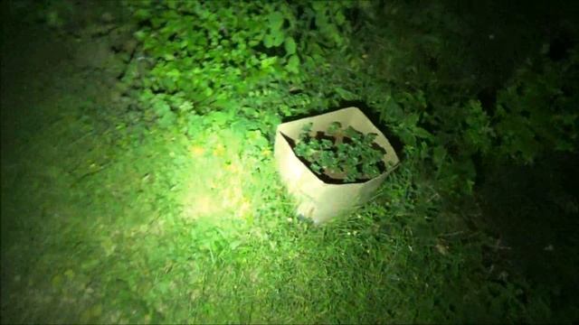 Wuben G2 Keychain Light ($16-22), A Short and Powerful Review of a Short and Powerful Light :) смотреть онлайн