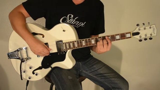 Subani Garnet Guitar - Bridge & Neck Pickups смотреть онлайн