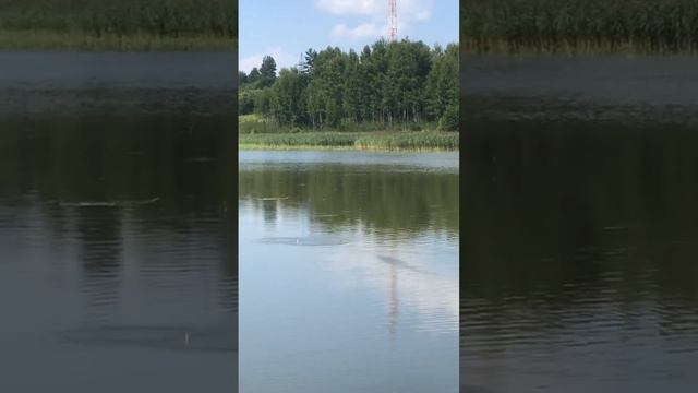 Рыбалка Муром-Вербовские Пруды Лето 2022 Семён снова на Рыбалке