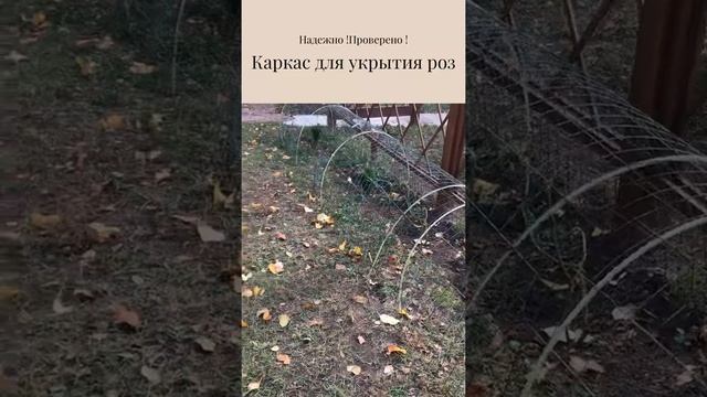 Розы.Супер каркас для укрытия роз .