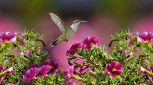 Messages From The Angels: Dance Of Head And Heart - July 30, 2016