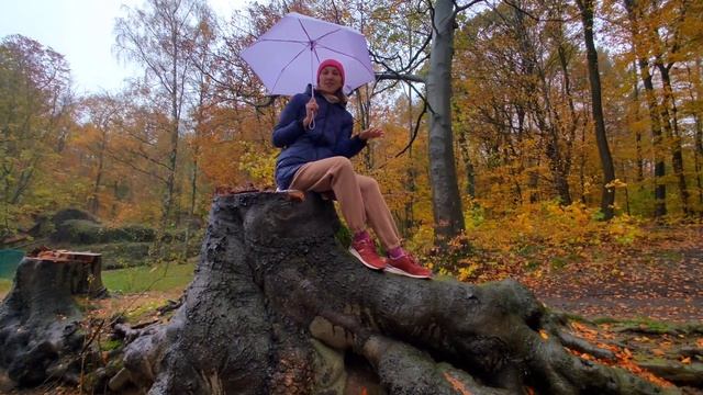 Что удивит приезжих в Германии?!???#поздниепереселенцывгермании #германия2023