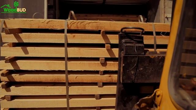 Защита древесины ИМПРЕГНАЦИЯ ✅ Преимущества импрегнированной террасной доски WoodBUD.com