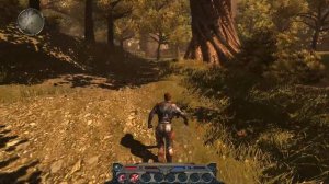 Divinity II: Ego Draconis прохождение №2