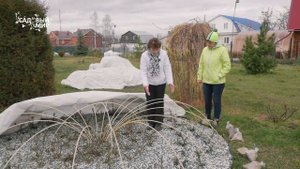 УКРЫТИЕ для РОЗ в круглой клумбе