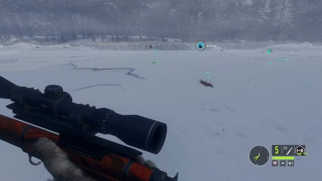 theHunter Call of the Wild #12 ? - Медвежья Тайга (часть 1) - Свободная Охота смотреть онлайн