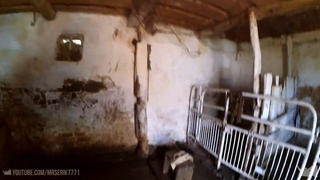 Деревенский ВЛОГ Сбор урожая смотреть онлайн