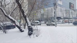 Индекс оливье в России вырос за год почти на 8%.