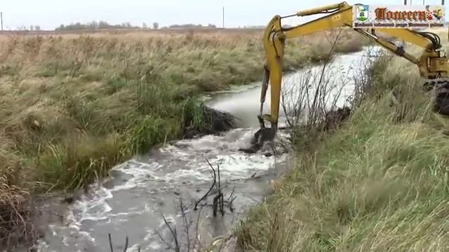 Бобры Подтопили Полесский район.борьба с бобровыми плотинами.Эксклюзив. смотреть онлайн