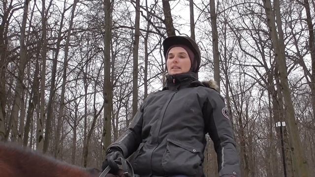 Как ездить учебной рысью. Видео для начинающих всадников. смотреть онлайн