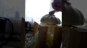 Шинковка для капусты самодельная