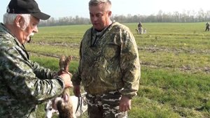 Краснодарские краевые состязания борзых 2019 ч.1