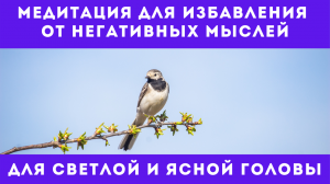 Медитация для избавления от негативных мыслей. Для светлой и ясной головы