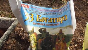 Внесение удобрений  в лунки при высадке томатов в теплицу.