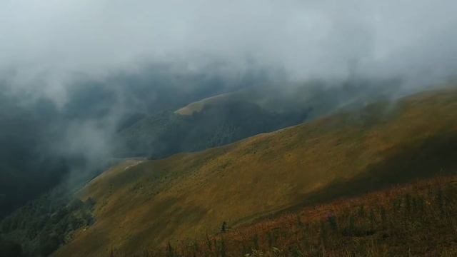 Погружение в горы. Боржава, наш поход по черничной долине 🖤 смотреть онлайн