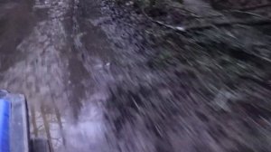 Охота на кабана с лабаза! (Что сниться охотнику)