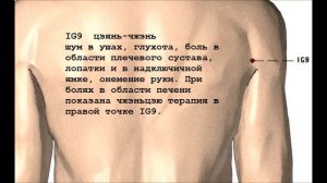 Меридиан тонкой кишки  IG