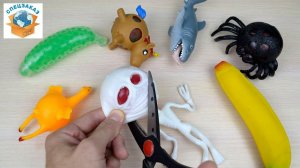 ЖЕСТЬ!! РАЗРЕЗАЛ АНТИСТРЕССЫ СКЕЛЕТА АКУЛУ И ПАУКА. БАНАН ОРБИЗЫ | СПЕЦЗАКАЗ