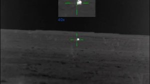 Охота на волка в Дагестане. Очень живучий волк, пришёл на вабу.