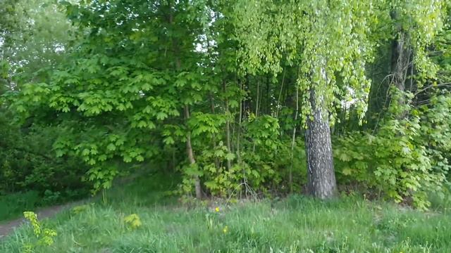 Лена и Ваня LIFE \ Старания Лены НЕ ОПРАВДАЛИСЬ! Зрители не оценили... \ Обзор влогов
