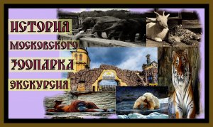 МОСКОВСКИЙ ЗООПАРК 2020г.ЭКСКУРСИЯ.History of the Moscow zoo.Excursion.#московский зоопаркэкскурсия#