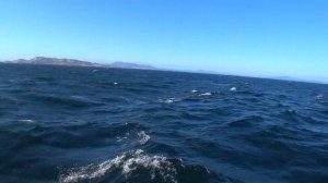 Попали на яхте в туман! Рыбацкие сети - реальная проблема для яхтсменов | Жизнь на яхте Cupiditas