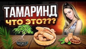 Тамаринд, что это ??? Растение тамаринд.