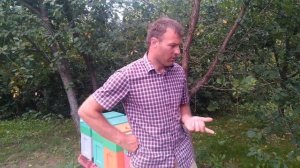 Какую выбрать кормушку внутриульевую или потолочную?