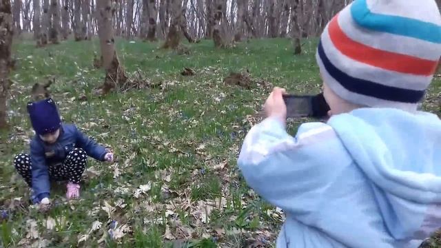 видеосъемка в лесу | делаем селфи смотреть онлайн